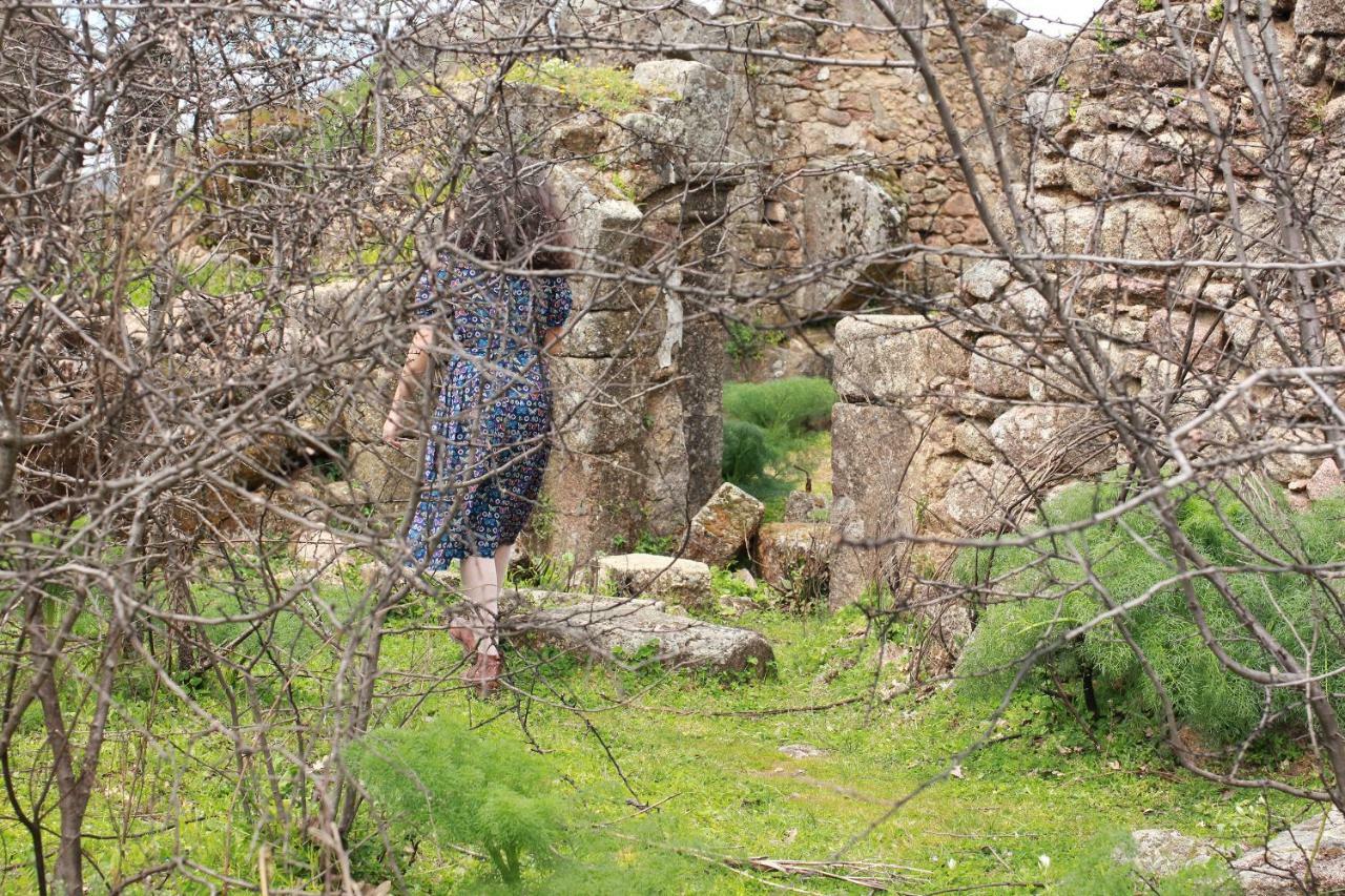 منزل الضيف Perales del Puerto  في La Grulla Gris المظهر الخارجي الصورة